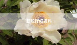 新股详细资料