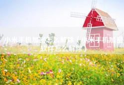 小米手机加密怎么解除（小米手机加密软件怎么解除）