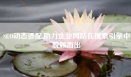 SEO动态适配,助力企业网站在搜索引擎中脱颖而出