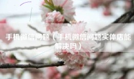 手机微信问题（手机微信问题实体店能解决吗）