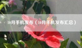10月手机发布（10月手机发布汇总）