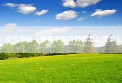 空号手机（空号手机号微信怎么登录）