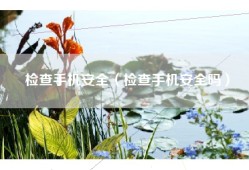 检查手机安全（检查手机安全吗）