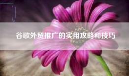 谷歌外贸推广的实用攻略和技巧