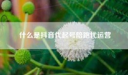 什么是抖音代起号陪跑代运营