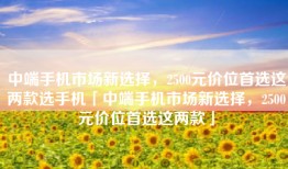 中端手机市场新选择，2500元价位首选这两款选手机「中端手机市场新选择，2500元价位首选这两款」
