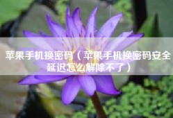 苹果手机换密码（苹果手机换密码安全延迟怎么解除不了）