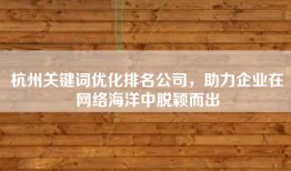 杭州关键词优化排名公司，助力企业在网络海洋中脱颖而出