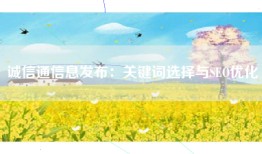 诚信通信息发布：关键词选择与SEO优化