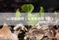 htc手机游戏（htc手机游戏飞机）