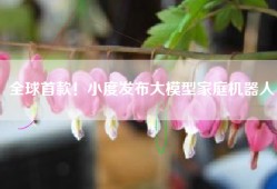 全球首款！小度发布大模型家庭机器人