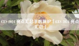CES 2024 亮点汇总手机保护「CES 2024 亮点汇总」