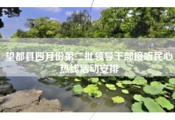 望都县四月份第二批领导干部接听民心热线活动安排