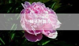 狮子林简介