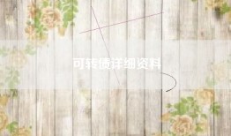 可转债详细资料