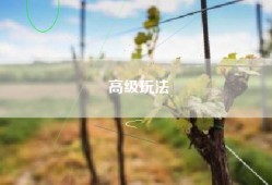 高级玩法