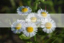 Spring的BeanUtils总结
