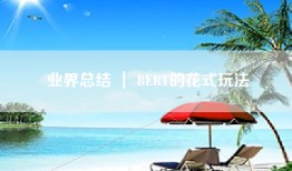 业界总结 ｜ BERT的花式玩法