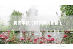 腕表手机（腕表手机报价）
