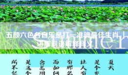五颜六色各自乐是打一准确最佳生肖,｜讲解词语解释释义