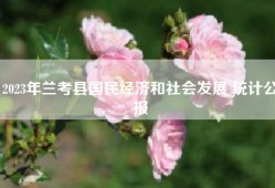 2023年兰考县国民经济和社会发展 统计公报