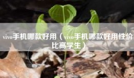 vivo手机哪款好用（vivo手机哪款好用性价比高学生）