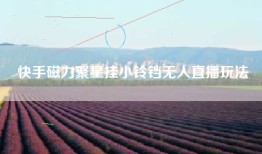 快手磁力聚星挂小铃铛无人直播玩法