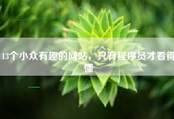 13个小众有趣的网站，只有程序员才看得懂