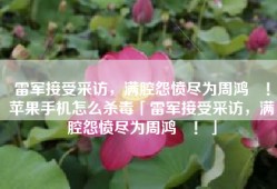 雷军接受采访，满腔怨愤尽为周鸿祎！苹果手机怎么杀毒「雷军接受采访，满腔怨愤尽为周鸿祎！」