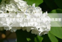 三星手机开发（三星手机开发者选项密码是多少）
