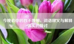 今晚必中的四不像图，词语释义与解释落实的探讨