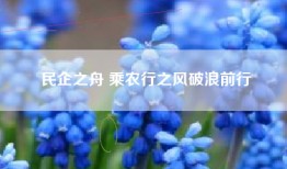 民企之舟 乘农行之风破浪前行