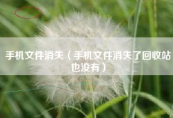 手机文件消失（手机文件消失了回收站也没有）