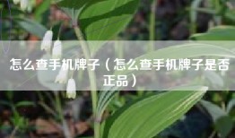 怎么查手机牌子（怎么查手机牌子是否正品）