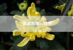 宜宾黑帽seo技术