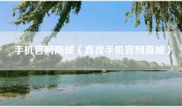 手机官网商城（真我手机官网商城）