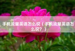 手机流量英语怎么说（手机流量英语怎么说？）
