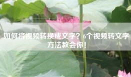如何将视频转换成文字？6个视频转文字方法教会你！