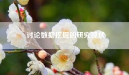 讨论数据挖掘的研究现状