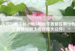 头部短剧平台、MCN和创作者都在聊什么？新榜短剧大会议程大公开！