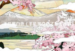 手机黑白色（手机黑白色了怎么回事）