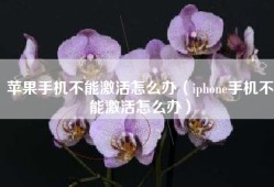 苹果手机不能激活怎么办（iphone手机不能激活怎么办）