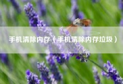 手机清除内存（手机清除内存垃圾）