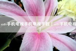 cctv手机电视手机电视下载「cctv手机电视」