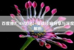 百度推广SEO优化：实战经验分享与深度解析