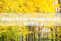 朝阳县自然资源和规划局领导团队最新概况简介