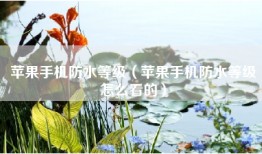 苹果手机防水等级（苹果手机防水等级怎么看的）