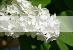 java生成访问外链