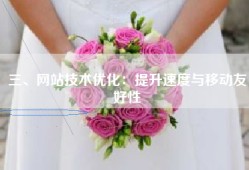 三、网站技术优化：提升速度与移动友好性
