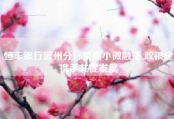 恒丰银行滨州分行聚焦小微融资 政银企携手共促发展